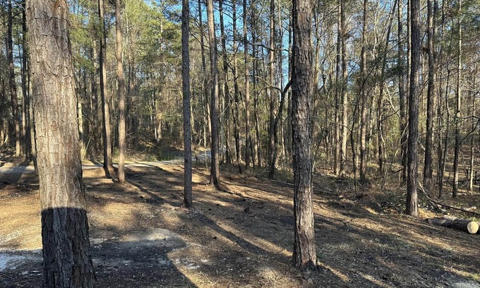 Eclectic Cabine | Beautiful cabin within two miles of Lake Martin