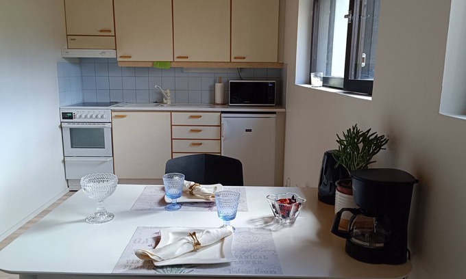 Jarvenpaa Maison | Beautiful Clean & Cosy studio near the center of Helsinki/ Pet Friendly