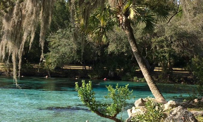 Salt Springs Maison | Belle escapade dans la forêt nationale d'Ocala en Floride @ Salt Springs Resort!