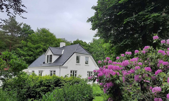 Roslev Maison | Beautiful house in the forest and by the fjord