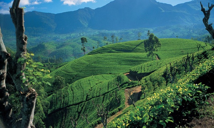 Kandy Maison | Bel emplacement avec vue côté rivière.