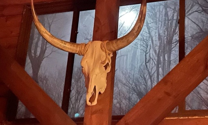 Prattsburgh Cabine | Beautiful Log Home - NY Finger Lakes- Wineries, Hiking, Breweries, Distilleries