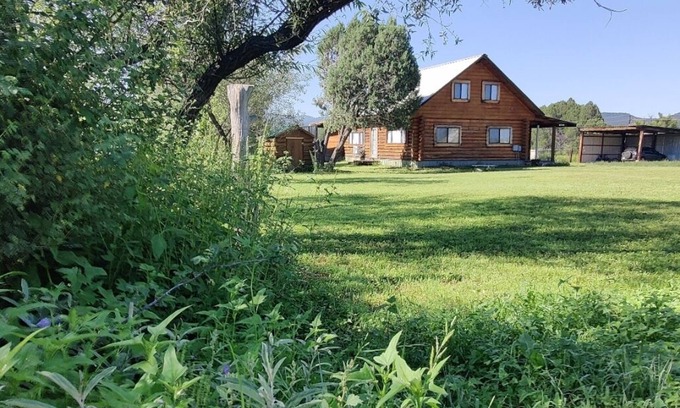 Young Cabine | Beautiful Log house with plenty of western charm & touch of modern