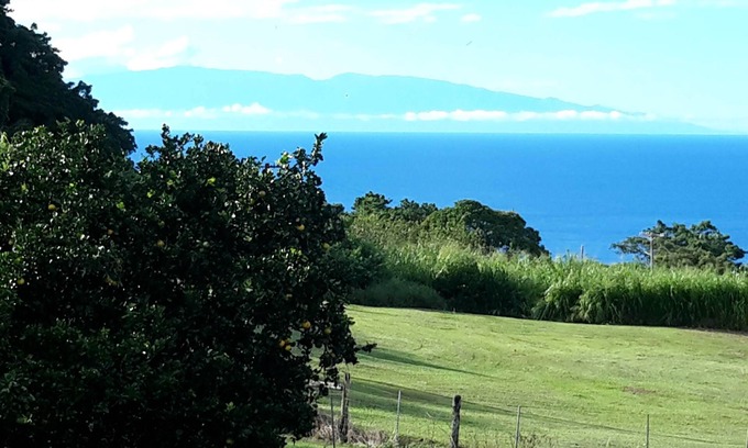Kukuihaele Appartement | Beautiful ocean views located minutes away from Waipio Valley