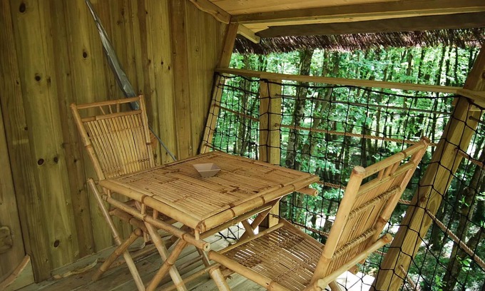 Salles-en-Toulon Maison | Cabane de la Hulotte 2 personnes