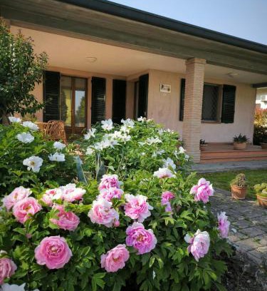 Castiglione di Cervia Lit Et Petit-Déjeuner | Bed and Breakfast La Contessa