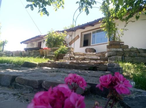 Terranova di Pollino Lit Et Petit-Déjeuner | Bed And Breakfasts LA CASETTA