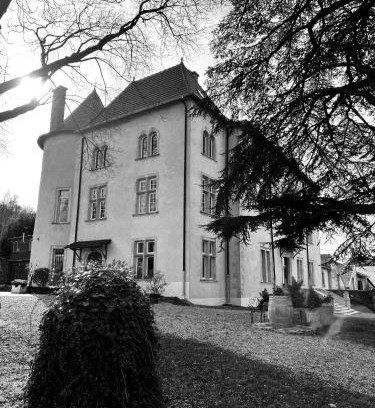 Belleau Lit Et Petit-Déjeuner | Bed and Breakfast Le Château de Morey