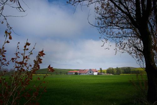 Kaseberga Lit Et Petit-Déjeuner | Bed & Breakfast Vinkille