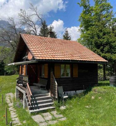 Netstal Appartement | Behagliches Chalet mit Kaminofen umgeben von Natur