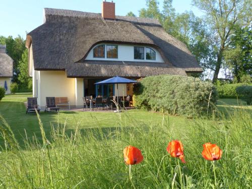 Puddemin Maison | Behagliches Reetdachhaus Eibe 1