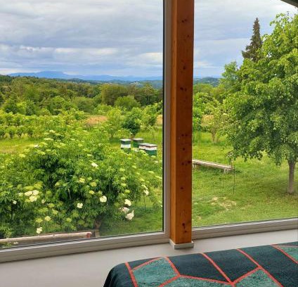 Kirchbach in Steiermark Appartement | Beim Bergjosl