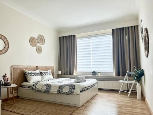 Klein-Antwerpen Appartement | Belgiëlei 94