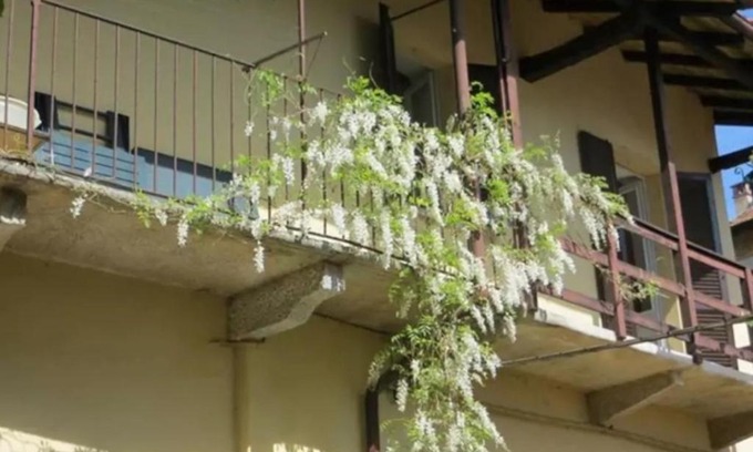 Belgirate Maison | Belgirate il Lavatoio