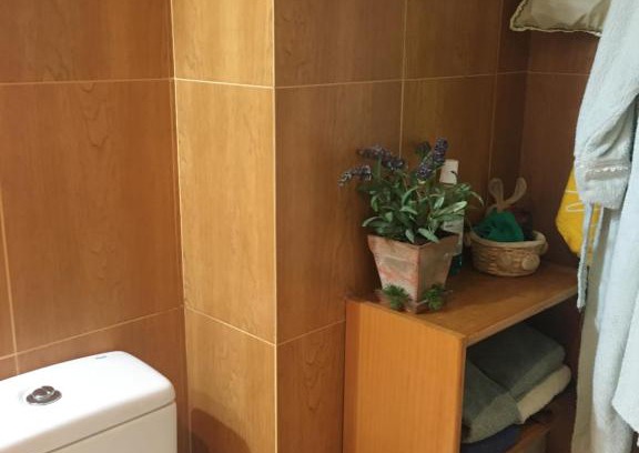 Chisagues Appartement | Bella vista Bielsa