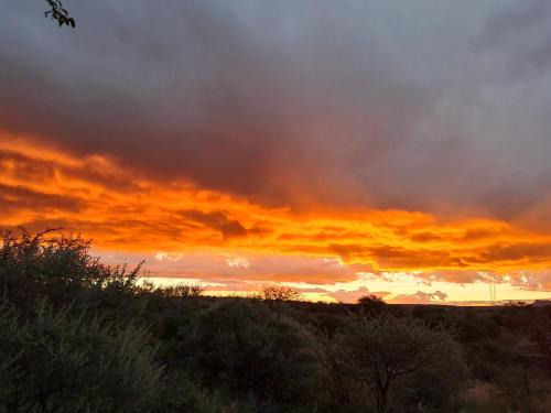 Windhoek Autre | BellaTiny, Campsite - bring your own tent
