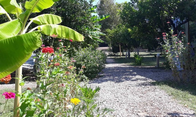 Cirali Location De VR | Bellerofon Camping