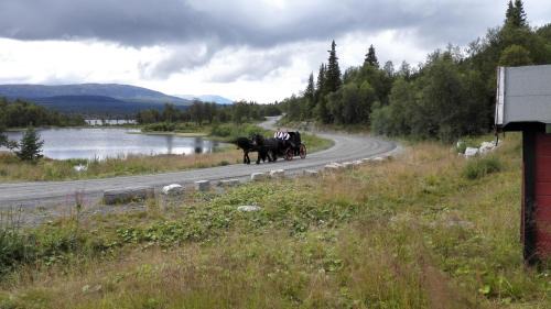 Vestre Slidre Appartement | Bergfosshytta 1 sør