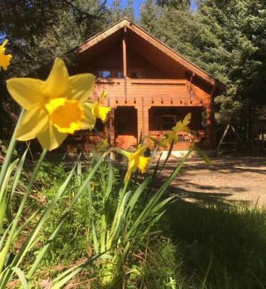 Ballyconnell Chalet De Ski | Bernard’s Logcabins