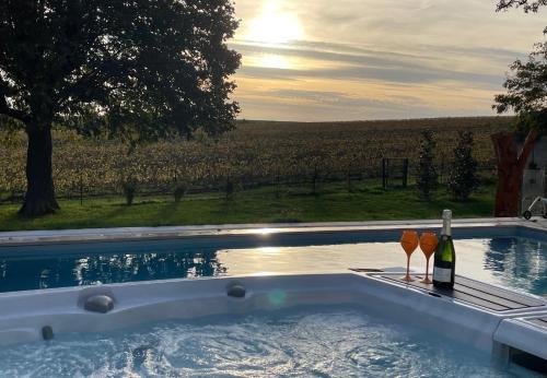 Saint-Thierry Appartement | Best view, pool and spa on the Champagne vineyard