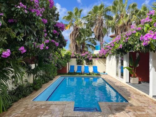 Noord Maison | Best Villa at a TOP location