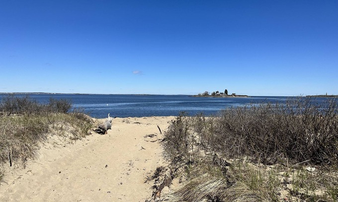 Biddeford Pool Copropriété | Biddeford Pool Condo steps from beach, 1 BR/1 Bath
