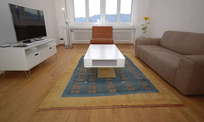 Muhlebach Appartement | Big 1BR apartment in the center (Mill 3.55)
