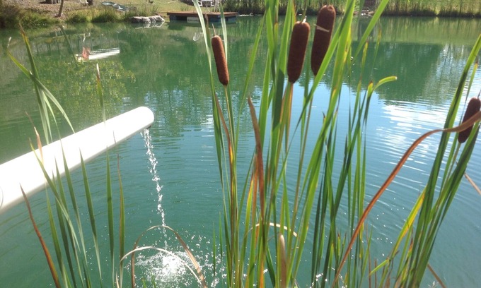 Cumberland Location De VR | BOND D POND et branche nord du camping de la rivière Potomac.