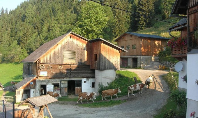 Aigen im Ennstal Appartement | Bio-wohlfühlhaus Morgensonne - Möslhof