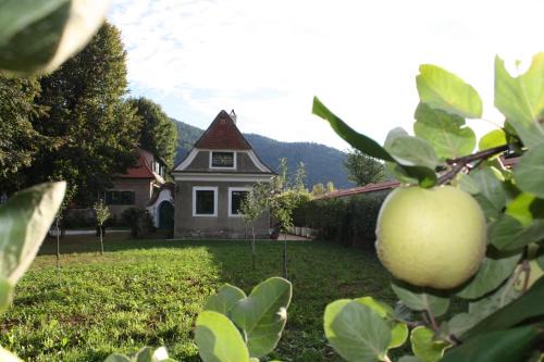 Durnstein Appartement | Bioweingut Schmidl Rosenstöckel