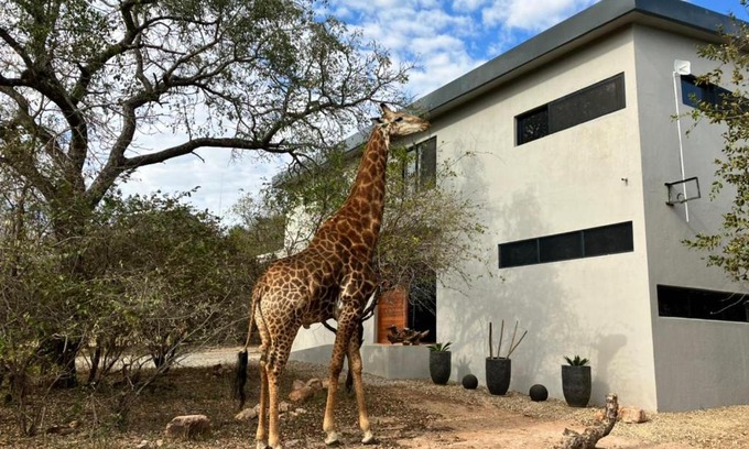 Marloth Park Maison | Birdsong Kruger