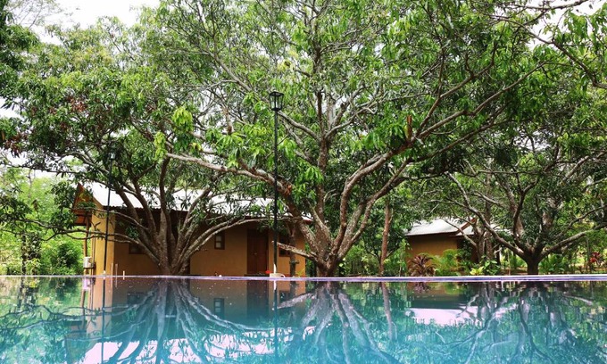 Palugaswewa Cabine | Bissa Villa