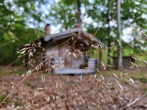Linderod Maison | Bjärnhultsgårdens stugor
