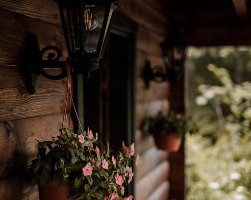 Kolasin Municipality Maison | Black River