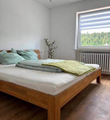 Weikersheim Appartement | Blick zur Bergkirche