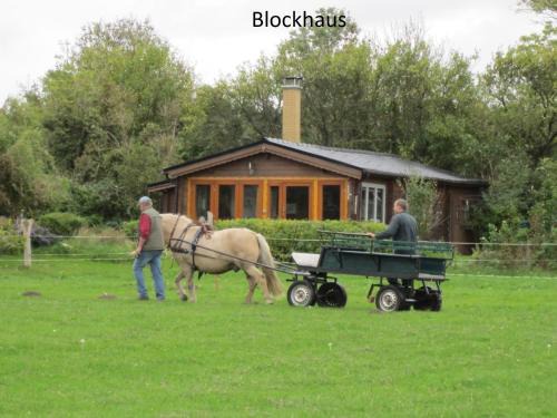 Alt Bukow Maison | Blockhaus Questin