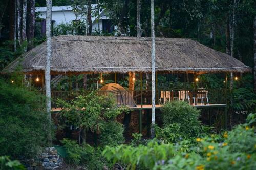 Vayittiri Autre | BLUE CREEK resort