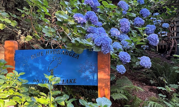 Three Lakes Maison | BLUE HYDRANGEA LAKESIDE RETREAT SNOHOMISH WA près de Seattle, Puget Sound