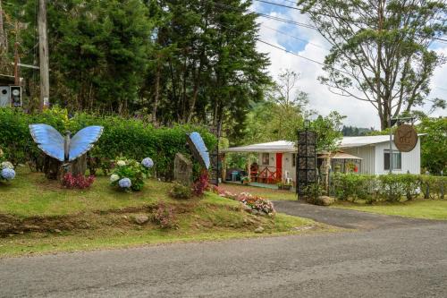 Bajos del Toro Cabine | Blue Morpho Lodge