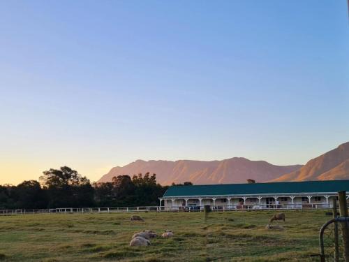 Swellendam Lit Et Petit-Déjeuner | Blue Mountain Farm Lodge, Cabins & Cottages