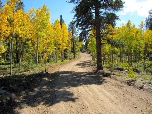 Black Hawk Maison | Blue Sky Mountain Ranch