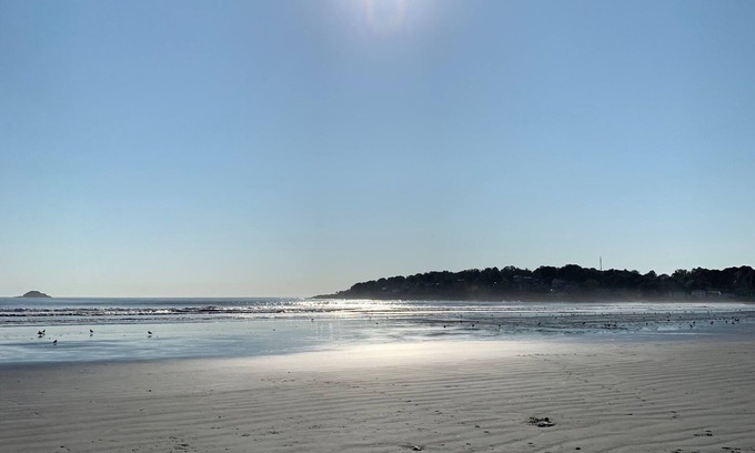 Nahant Appartement | Blue View Nahant! Steps to the beach, ocean views. Relax and work “from home”!