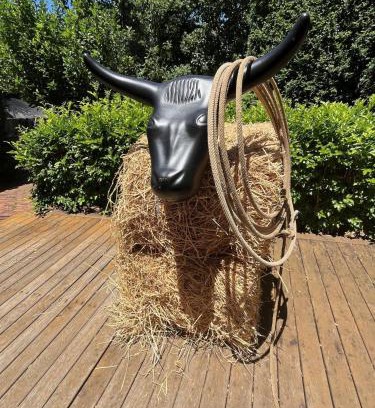 East Tamworth Maison | Bluebird Cottage