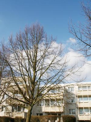 Celle Appartement | Boarding House "Herzogpark Celle"