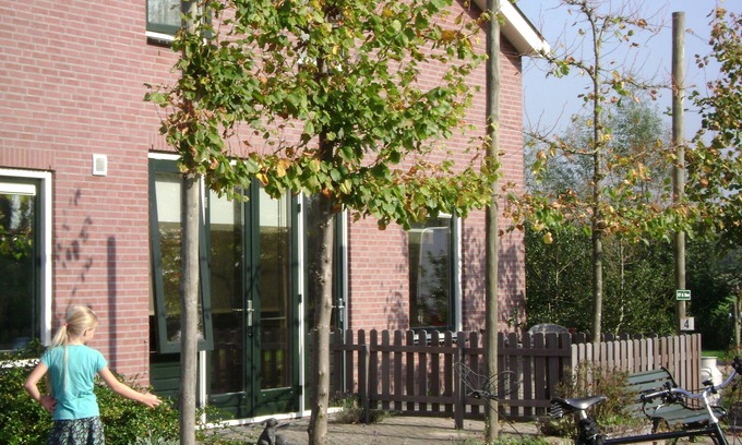 Kockengen Lit Et Petit-Déjeuner | Boerderij Hazenveld