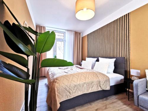 Andreasvorstadt Appartement | BohnApartments Junior SUITE Blume 14 - Nähe Dom - WLAN