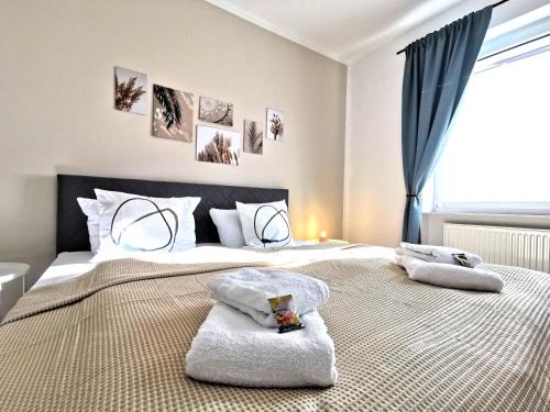 Andreasvorstadt Appartement | BohnApartments XL Suite - 2 Schlafzimmer mit Balkon - Zentrum - Petersberg - Domplatz
