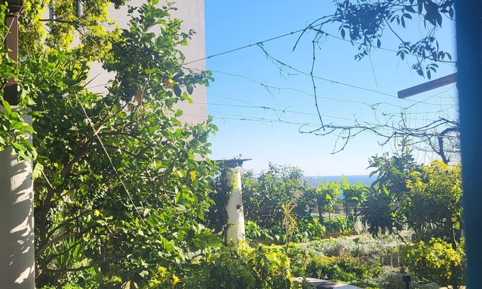 Posillipo Appartement | Bonbon of Posillipo in Naples