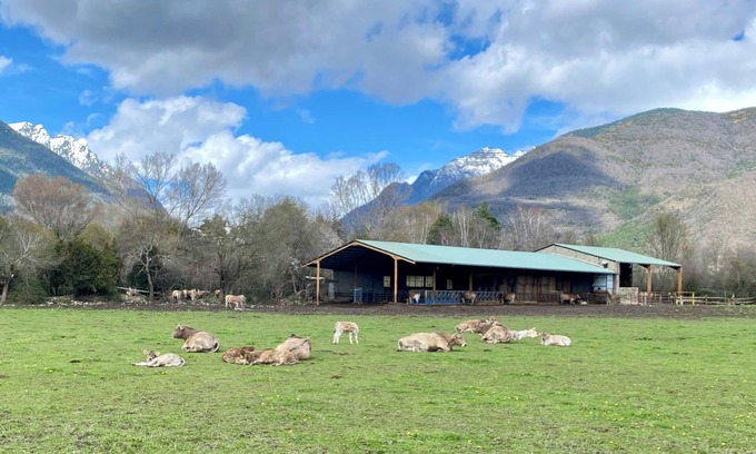 Biescas Maison | Bonito Duplex en Biescas ,entorno Rural a 20min Estacion Sky. Apta Mascotas