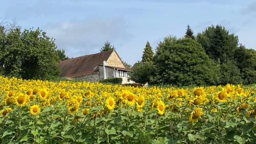 La Coquille Maison | Bonnes Routes - 4 star gite in the Perigord Vert